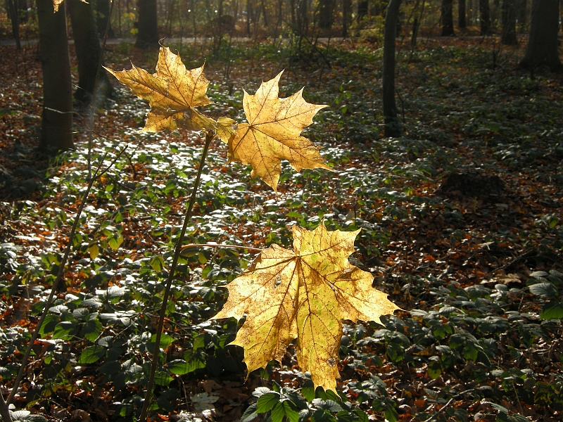 DSCN3439.JPG