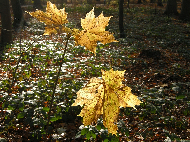 DSCN3440.JPG