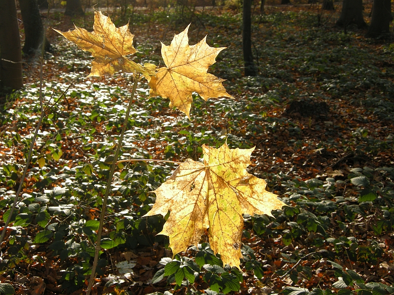 DSCN3441.JPG