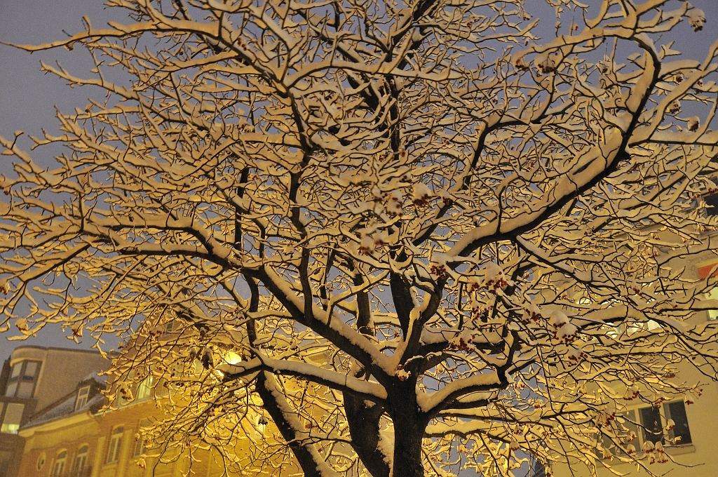 D30_2816.JPG